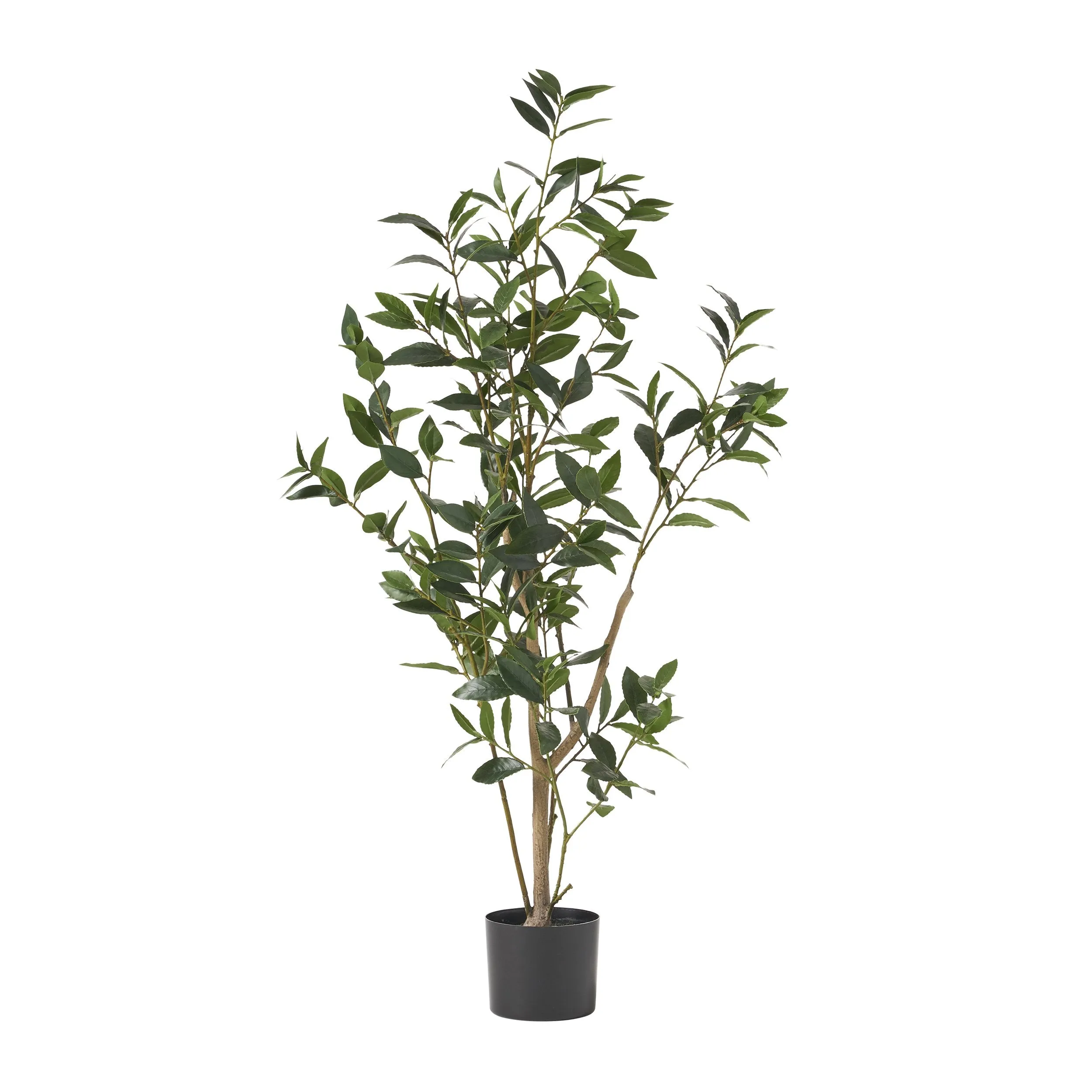 Artificial Laurel Tree - NH457313