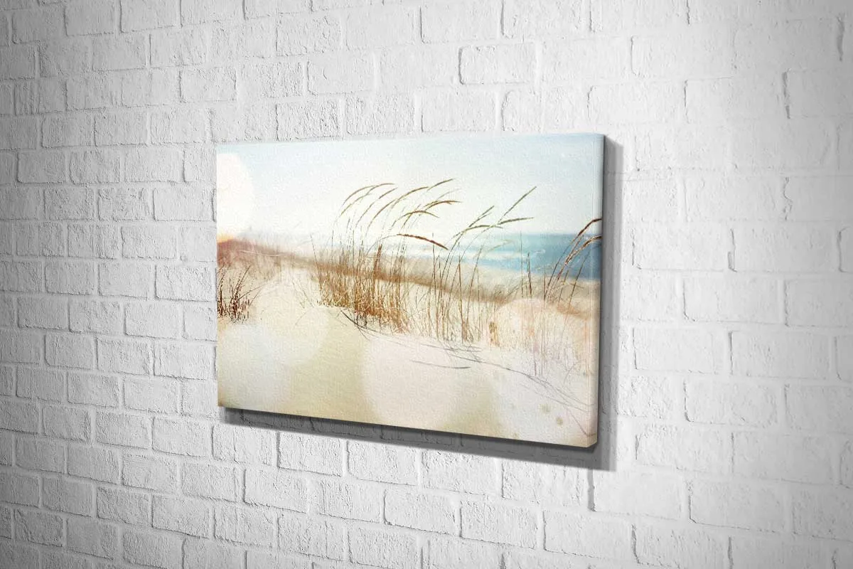 Beach Dune Grass | Canvas Wall Art Print