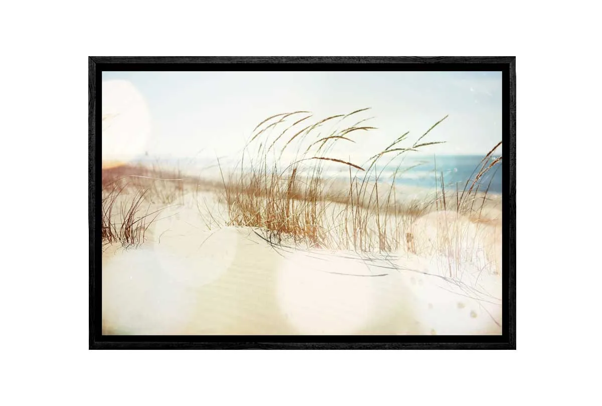 Beach Dune Grass | Canvas Wall Art Print