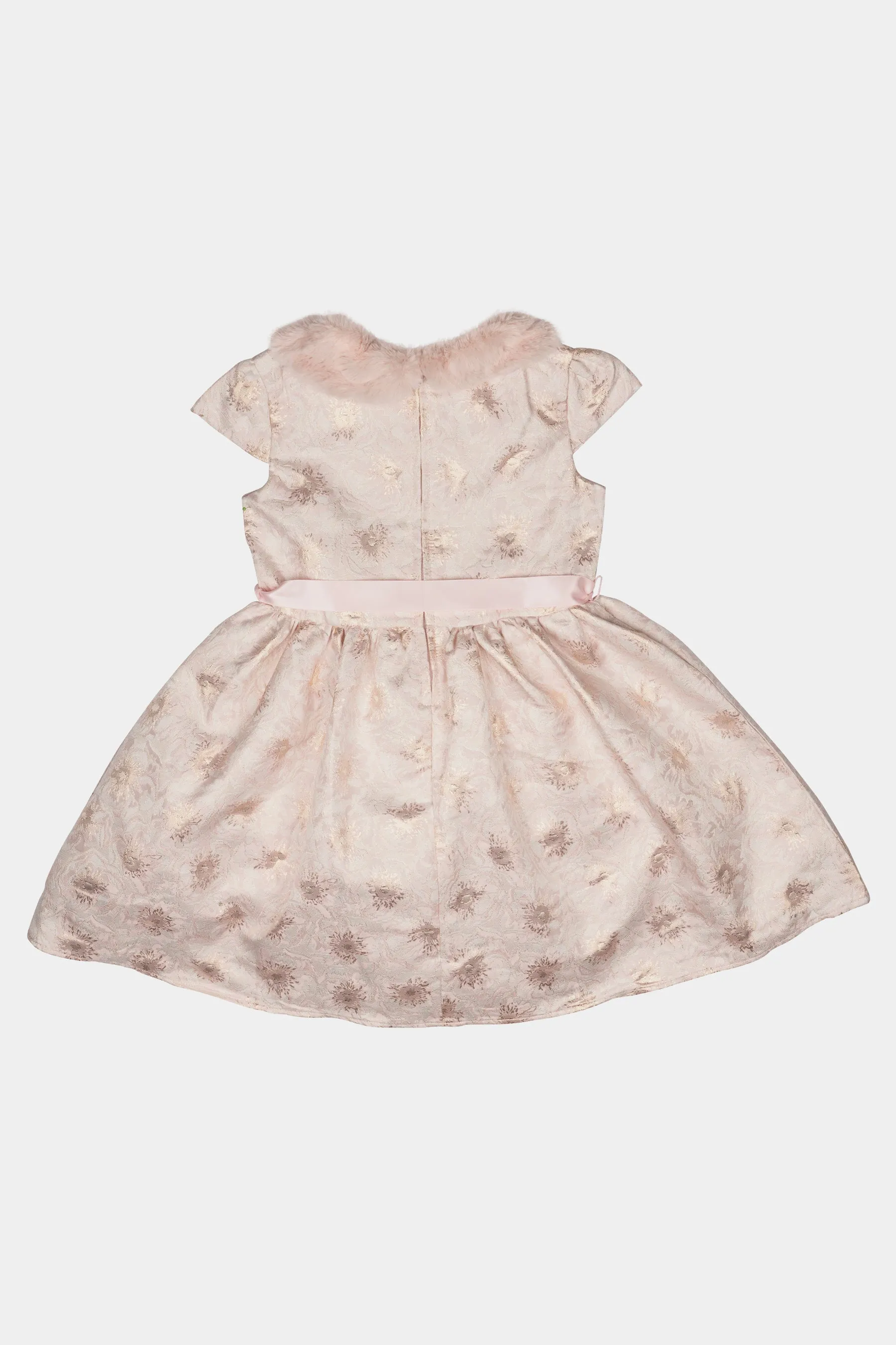 Girls Cap Sleeve Faux Fur Neck Trim Brocade Dress