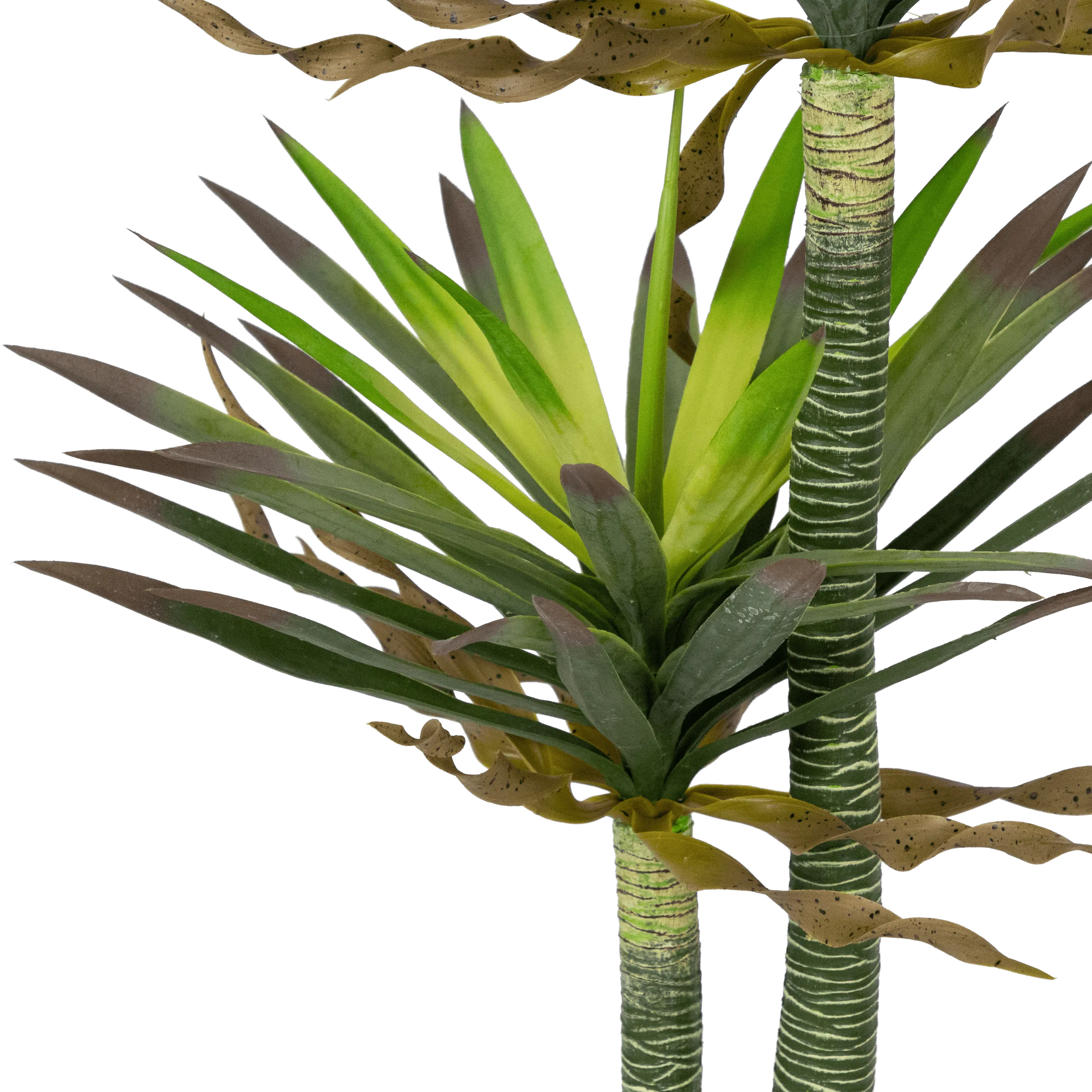 Yucca 120cm