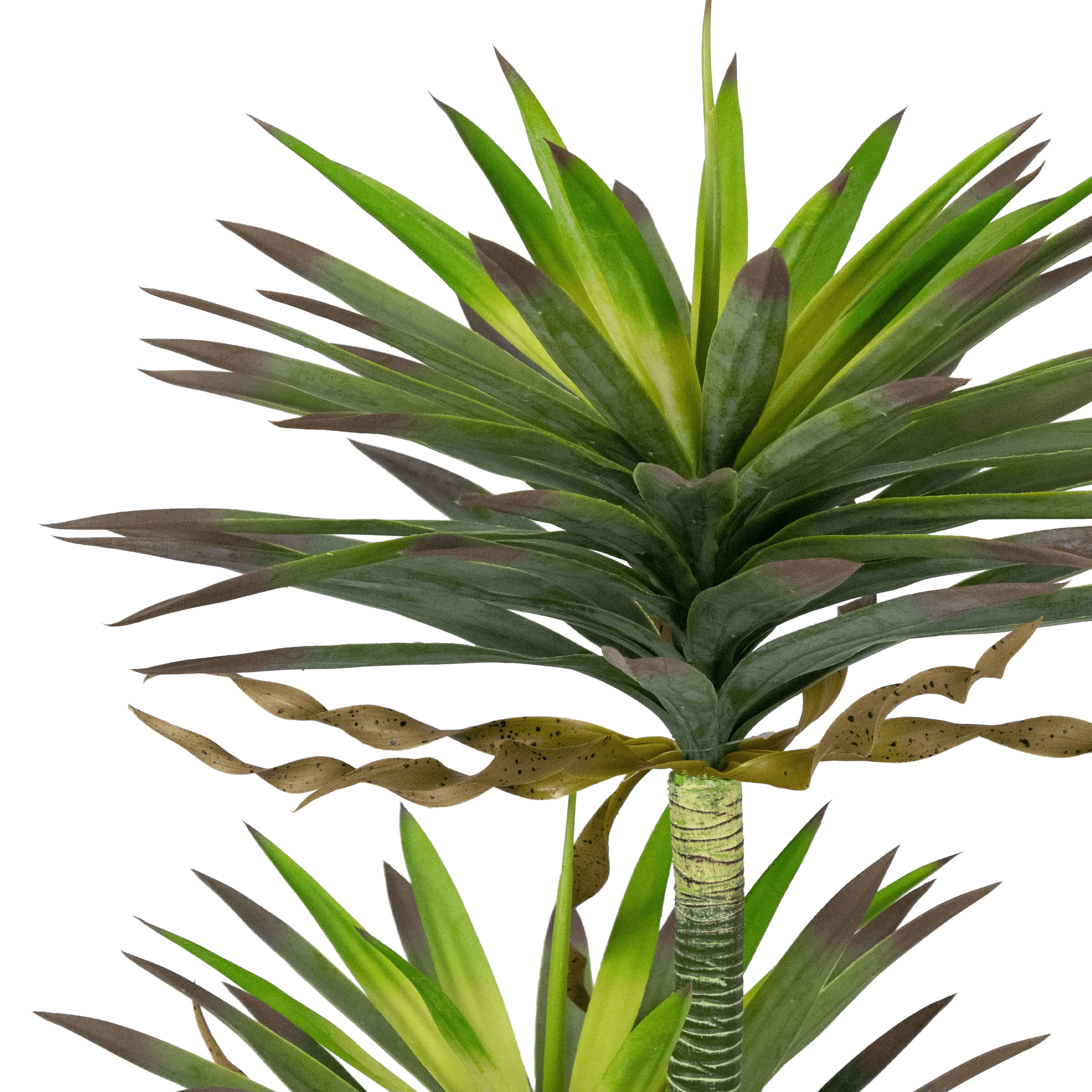 Yucca 120cm