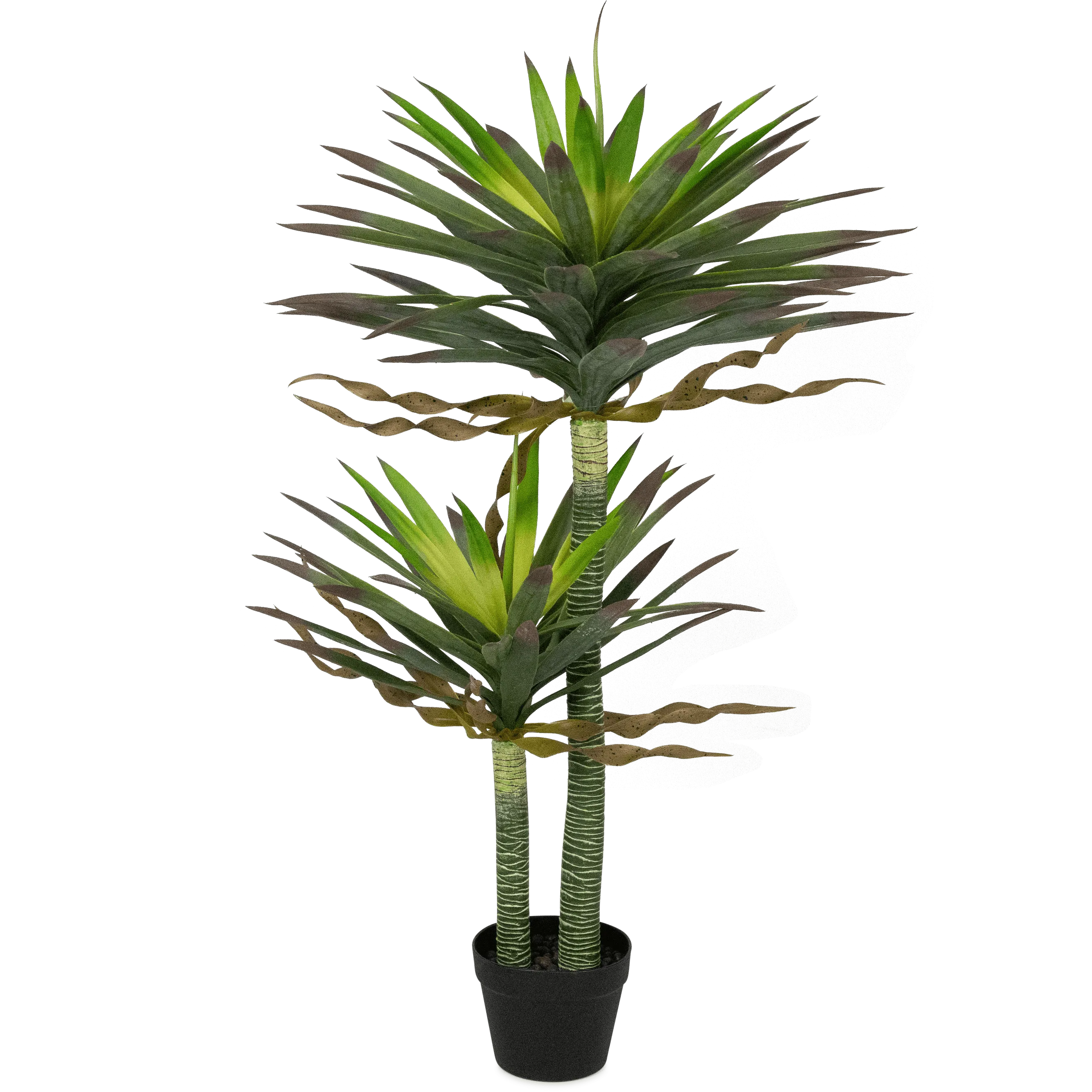 Yucca 120cm